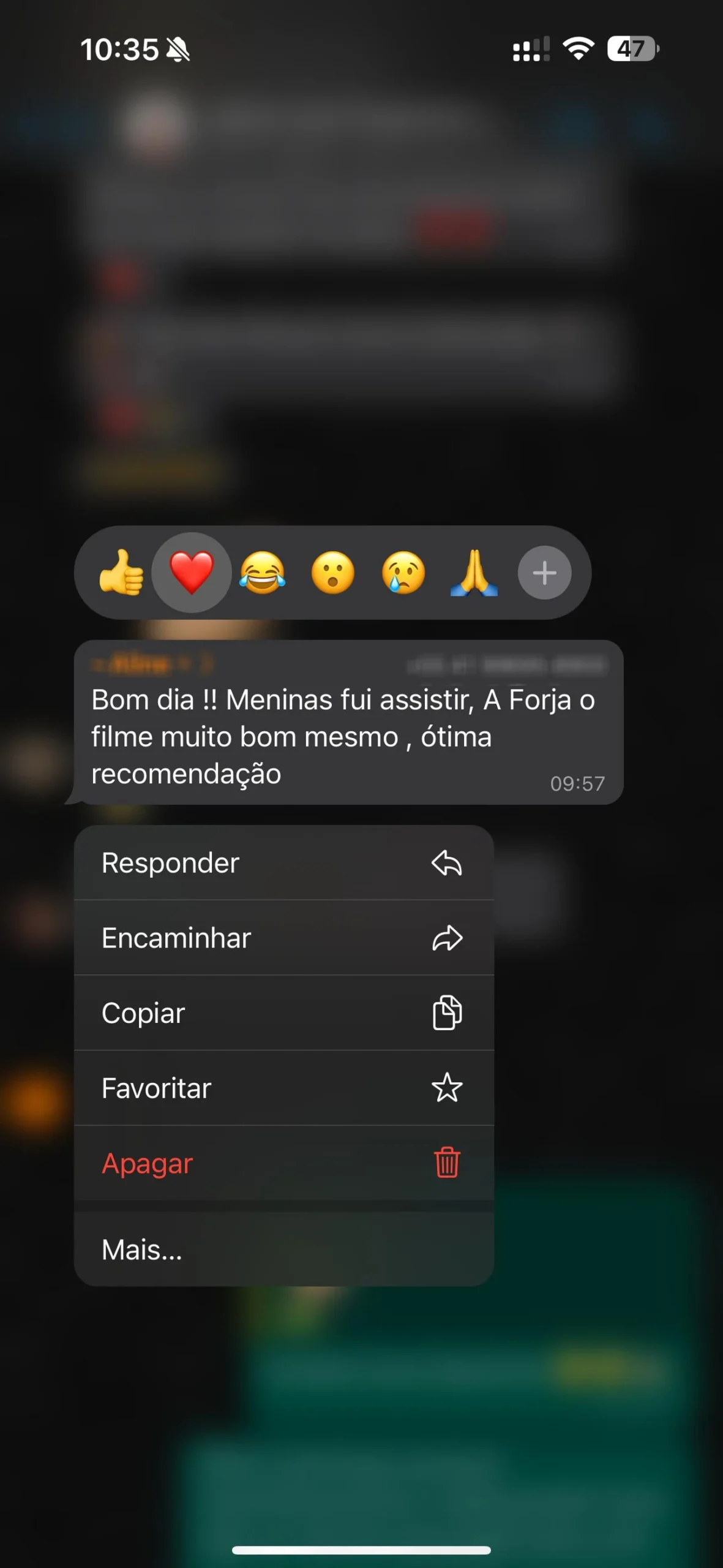 image 1 copiar