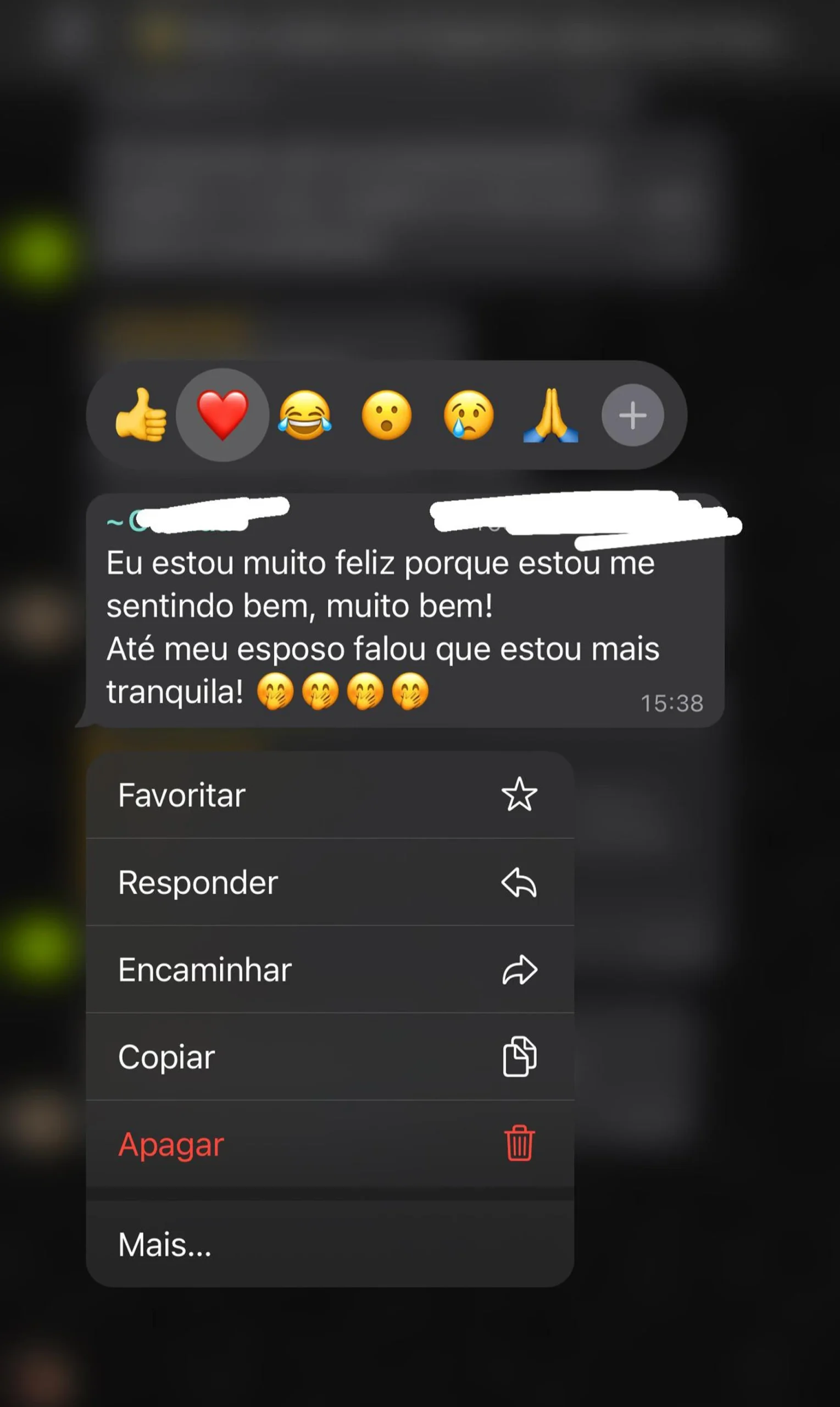 image 11 copiar