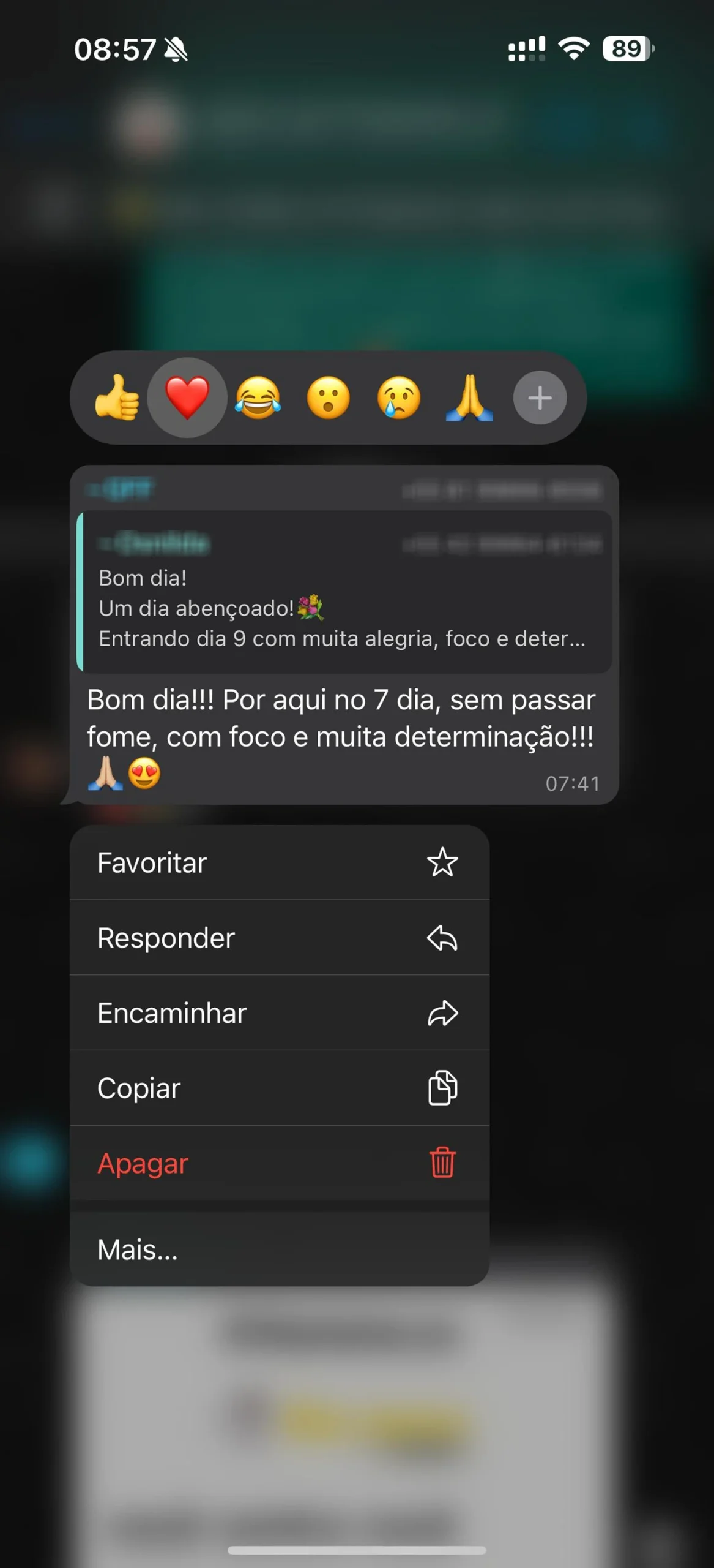 image 7 copiar