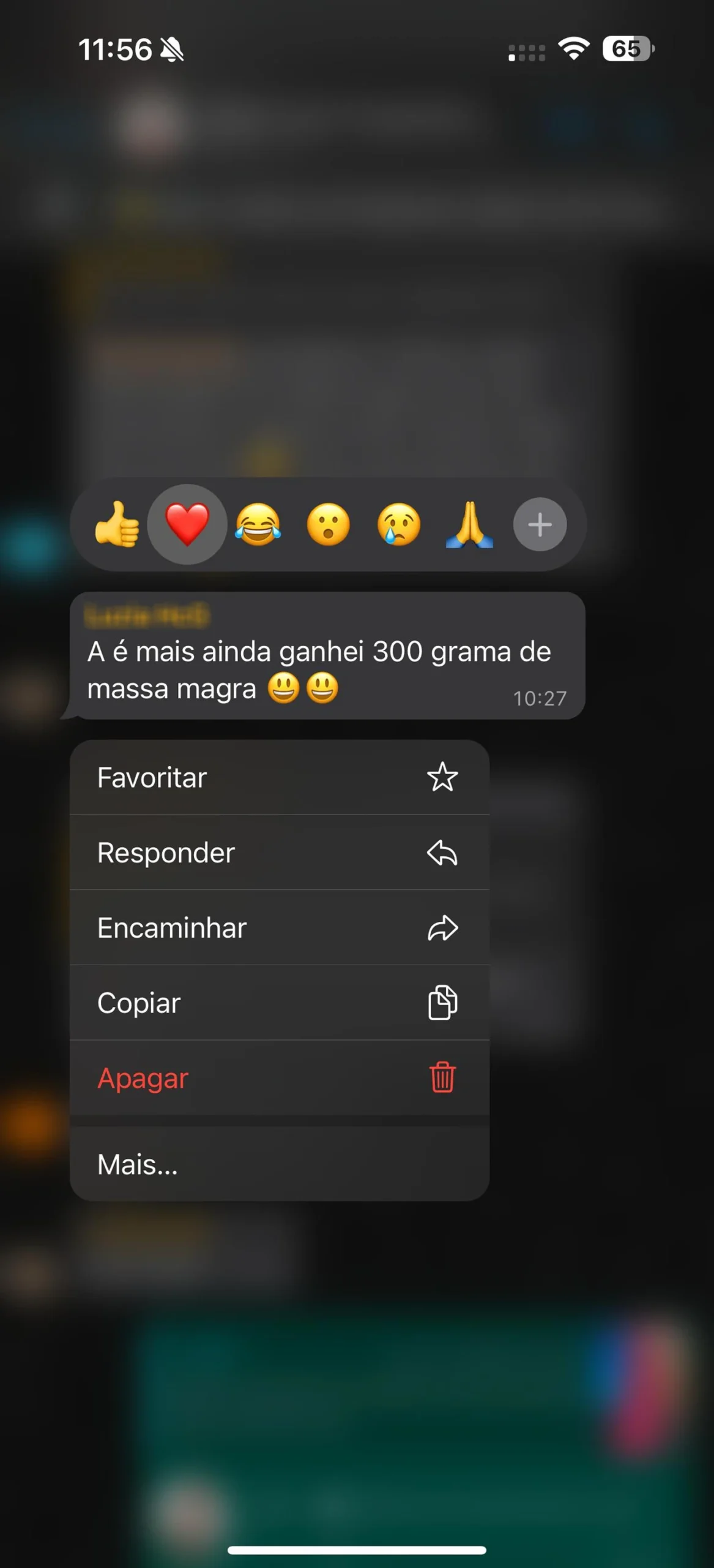 image 8 copiar